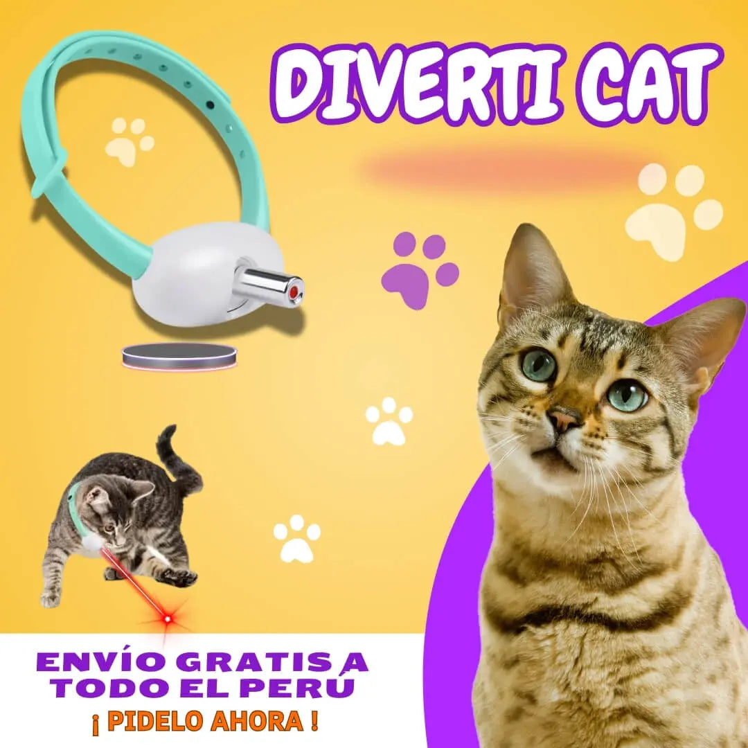 Diverti Cat